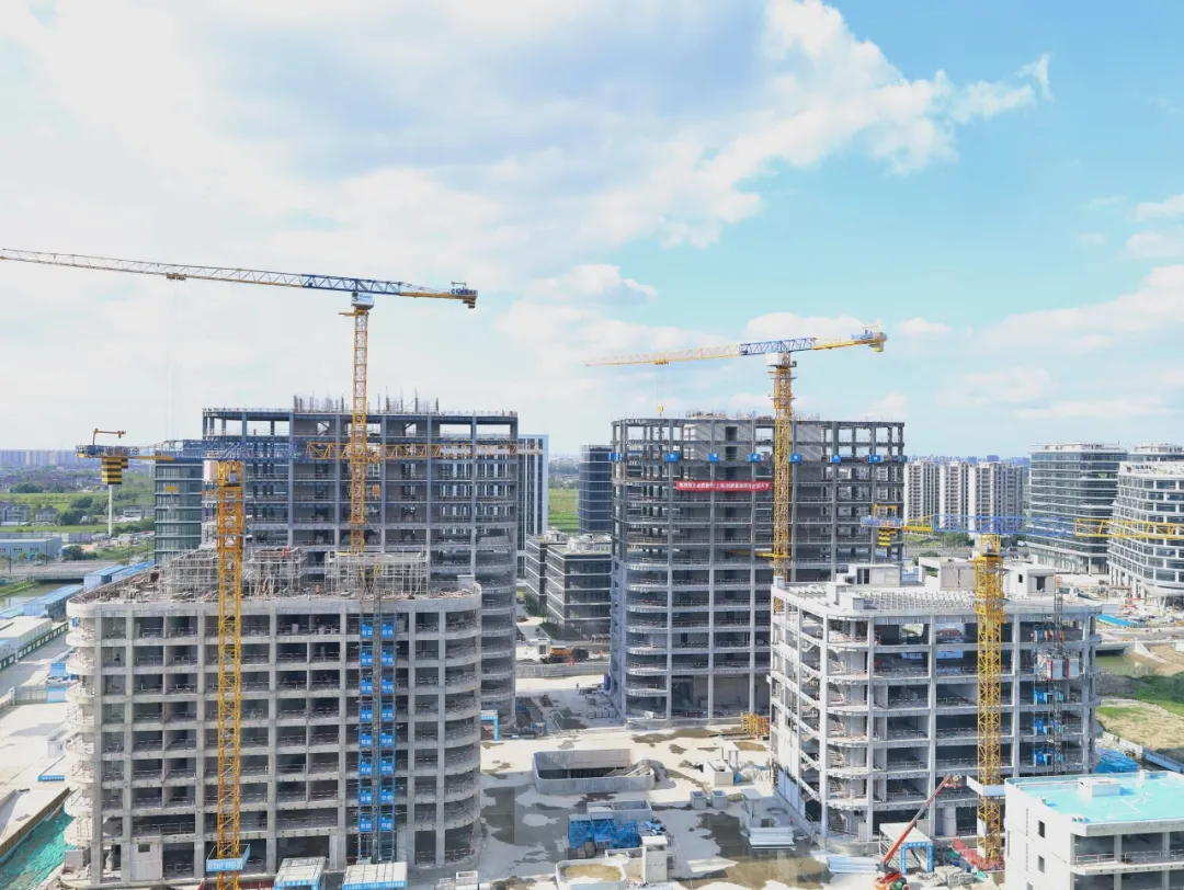 同心同向 造炬成阳 | 抖圈股份2024年第三季度动态速览